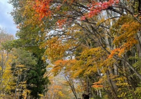 寒い時期に気をつけたい感染症のお話